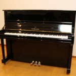 YAMAHA YS10