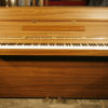 YAMAHA LU101